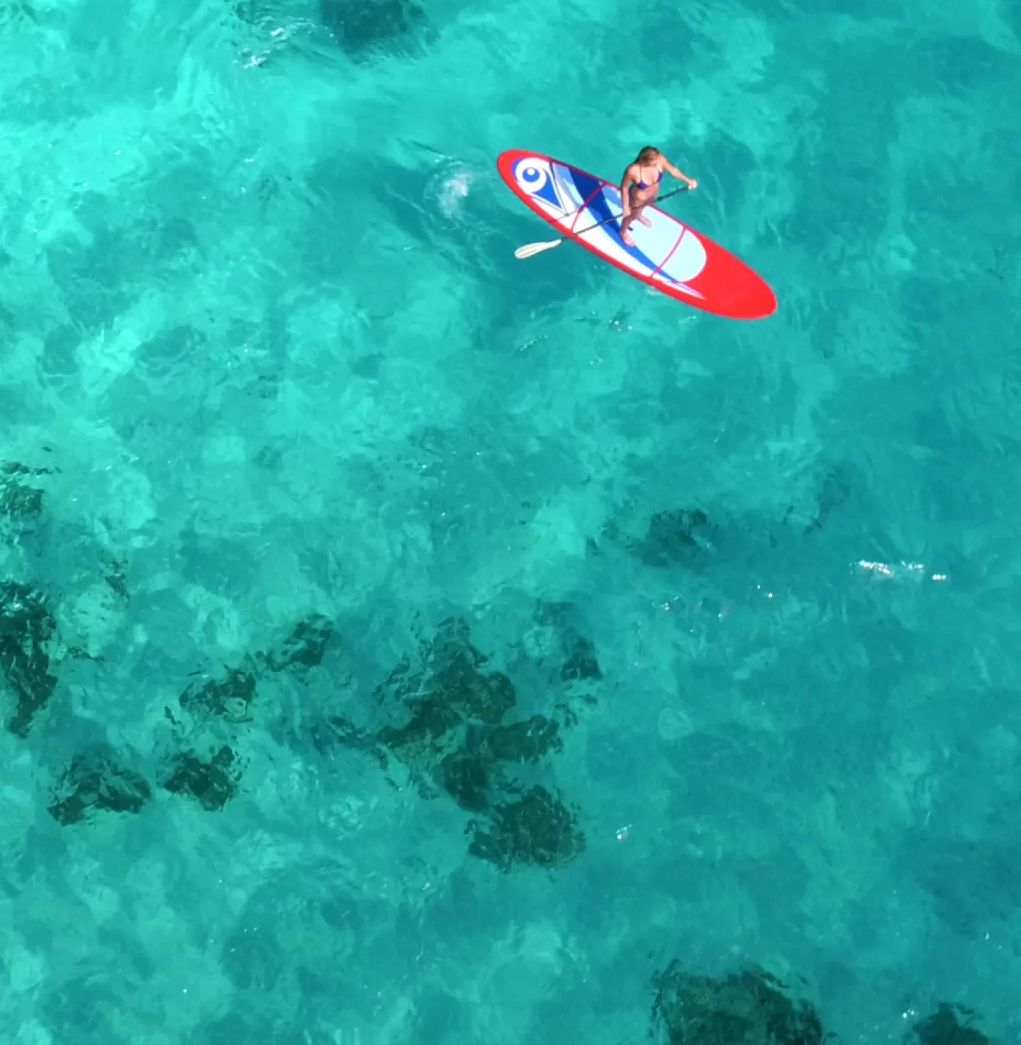image plan large paddle dans une étendue dos turquoise vue du dessus