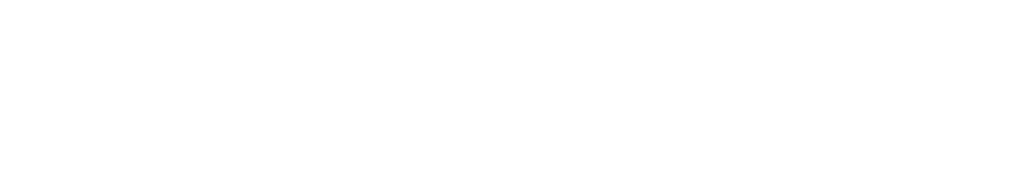 Logo Blue Ice Blanc