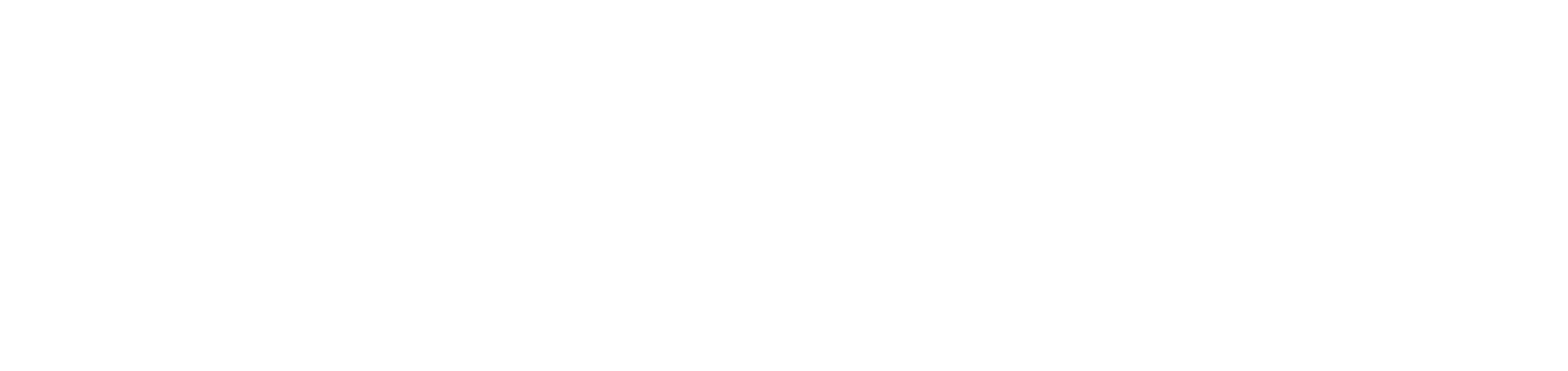 SAUCONY LOGO WHITE